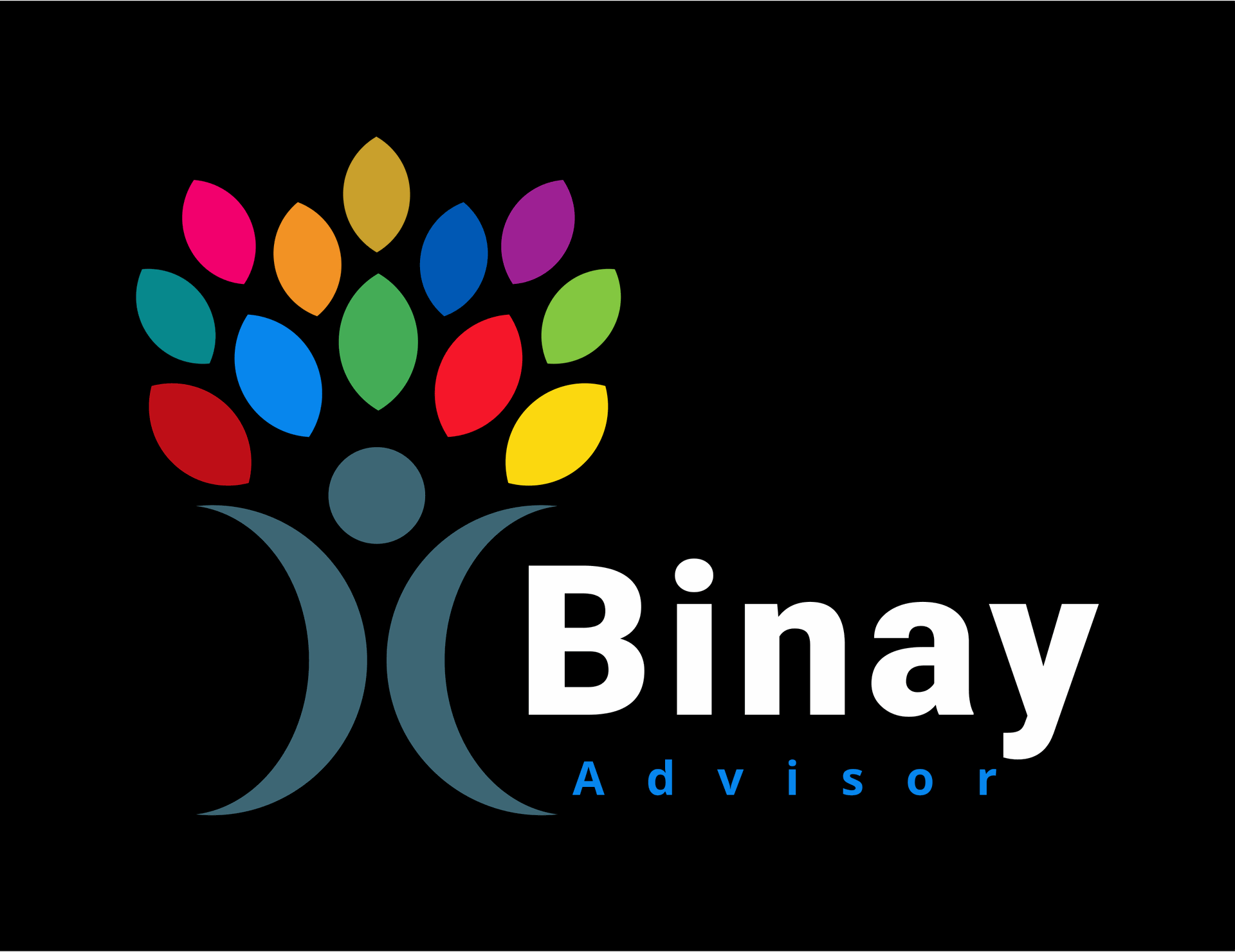 www.binayadvisor